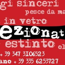 selezdisquisite's profile picture. 