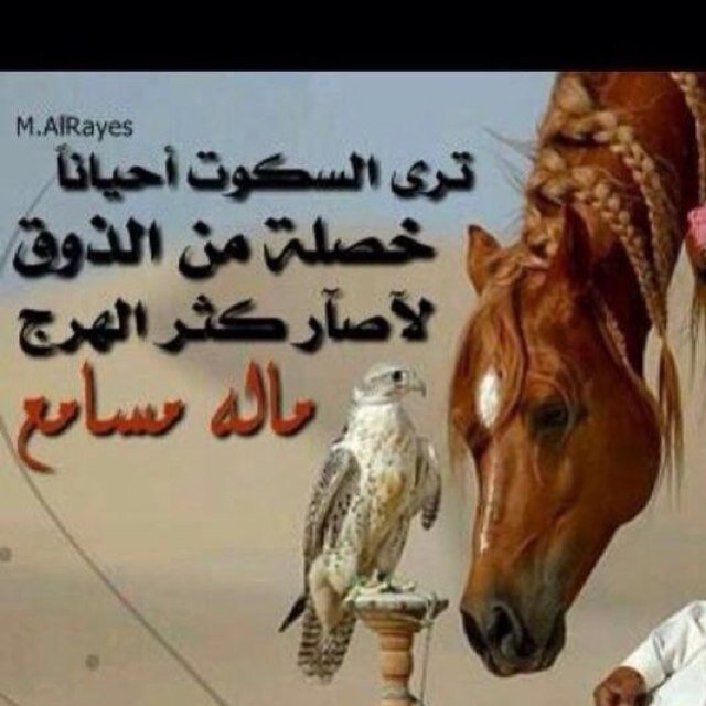إن جاك منهو يقول الوقت ماله آمان
قول البشر للآسف باعت قلوب وشرت
الناس متغيره وإلا الزمان الزمان
وجه الزمن ماغدرك الناس فيك غدرت