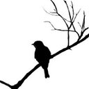 Sarah Richter - @Sarahndipity81 - Twitter