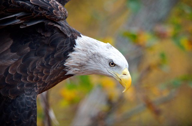 Tweeting on nature, photography, food and the ups and downs of the sporting world. Planting new roots in central Texas.