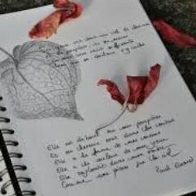 Monde Des Citations C Est De L Amour Que Decoule Le Sentiment Du Pardon Il N Y A Que L Amour Qui Pardonne Peter Deunov