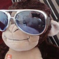 Desmond Powell-Ford(@Dez_the_monkey) 's Twitter Profileg