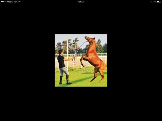 mzmzmz777's profile picture. 