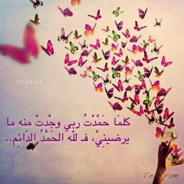 ‏‏‏‏‏♥♡لا اله الا الله محمد رسول الله ♡♥