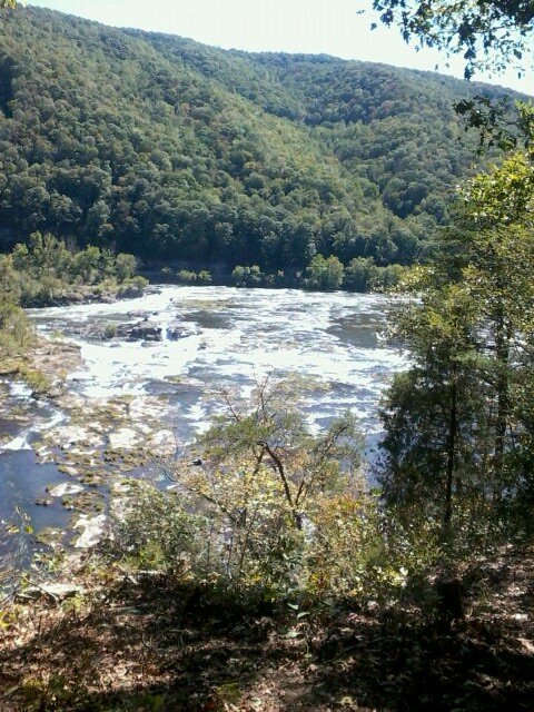 practicalmagic5's profile picture. 