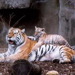 sureshkashyap10's profile picture. 