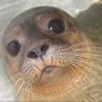 Save Exploris (@saveexploris) 's Twitter Profile