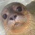 Save Exploris (@saveexploris) Twitter profile photo Save Exploris (@saveexploris) Twitter profile photo
