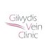 Gilvydis Vein (@gilvydisvein) Twitter profile photo