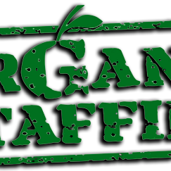 Organic Staffing supply the finest promotional staff for every requirement, tailored to your every need... Only the very best make the 'Organic Grade!'
