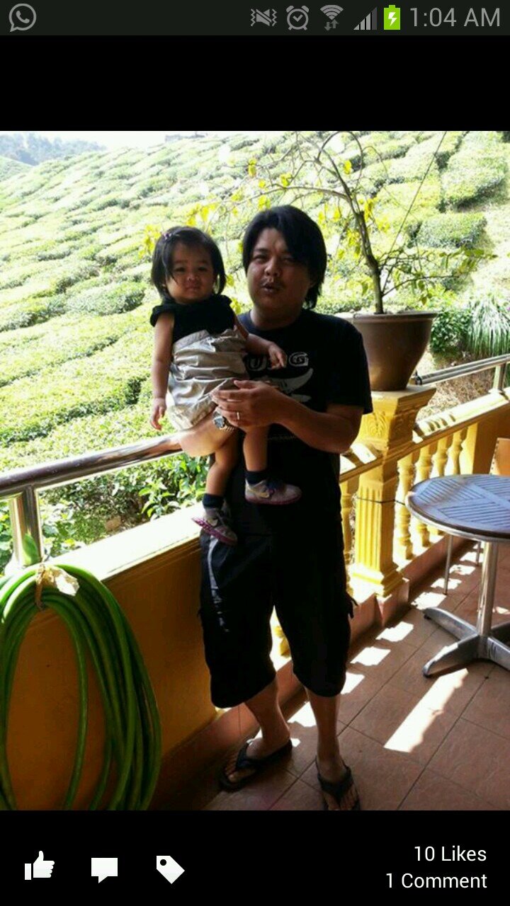 friedgreenie's profile picture. 