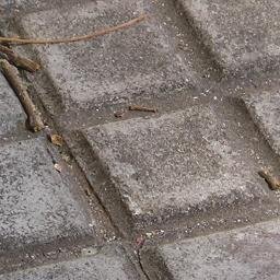 HomelessFL's profile picture. A blog dedicated to homelessness in Florida