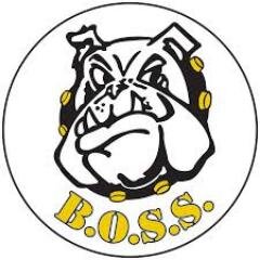 BOSSannounce Profile Picture