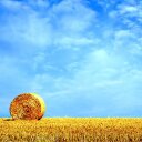 Simon Buckley - @simonbuckleyoz - Twitter