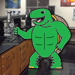 Mr. Maraghy's Biology classes. #TPBiology #biology