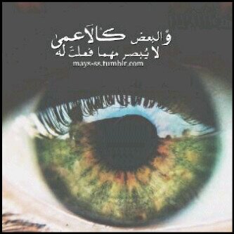 ‏الرسم والتأمل