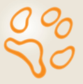 For Animal & Pet lovers. Welcome to Petxel Twitter official page.            Up-to-date news, videos and funny pictures of animals