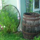 Donna Jean Olson - @catlady7578 - Twitter