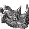 KatharineLind's profile picture. Reading room 📚: Natural history 🦎 Science 🔬 Biodiversity 🕸️Arts 🎨 Poetry 🗝️ Music 🎼, et al. Interested in different ways of seeing.  Mission: Imposseros.