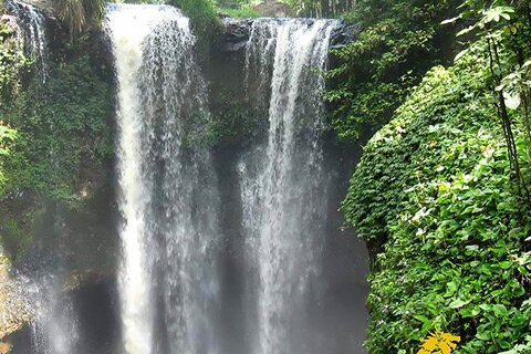 GigiersKrw's profile picture. 