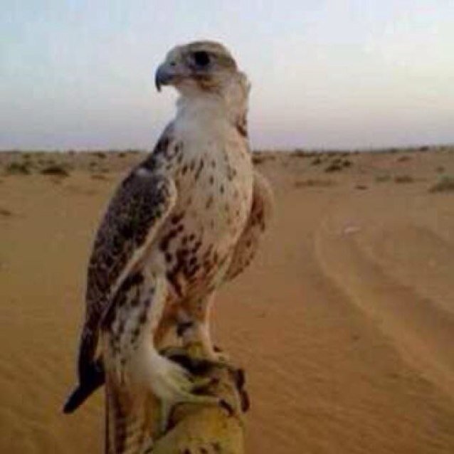 ‏ ﷽ 
) إِنَّ اللَّهَ وَمَلَائِكَتَهُ يُصَلُّونَ عَلَى النَّبِيِّ يَا أَيُّهَا الَّذِينَ آمَنُوا صَلُّوا عَلَيْهِ وَسَلِّمُوا تَسْلِيمًا ) ﷺ