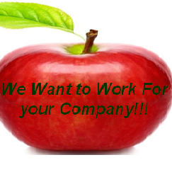 Carson Virtual Assistance Services Inc. is a company that provides professional administrative, technical, or creative (social) assistance to clients remotely.