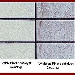 selfcleaningtec's profile picture. The Hottest Product on The Planet!