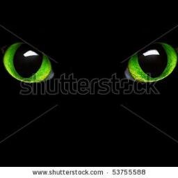 elvira2402's profile picture. pasaule nav kantaina un mēs to veidojam: katrs savā vietā un visi kopā