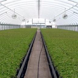 Hydroponics Supplies