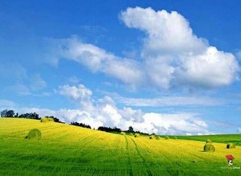 心靈與身體一起遨遊
https://t.co/WSSkJIzH0T
Google+ https://t.co/KuwpfcmRcv
噗浪 http://t.co/Px6iJ6Fj07
部落格 http://t.co/xHwEDgCeQU
