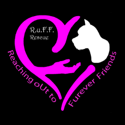 RuffRescueLinc's profile picture. Rescue/Rehabilitate/Rehome small dogs in the Heartland.              501 (c) (3) non profit /       Facebook:  R.u.F.F.Rescue Lincoln, NE