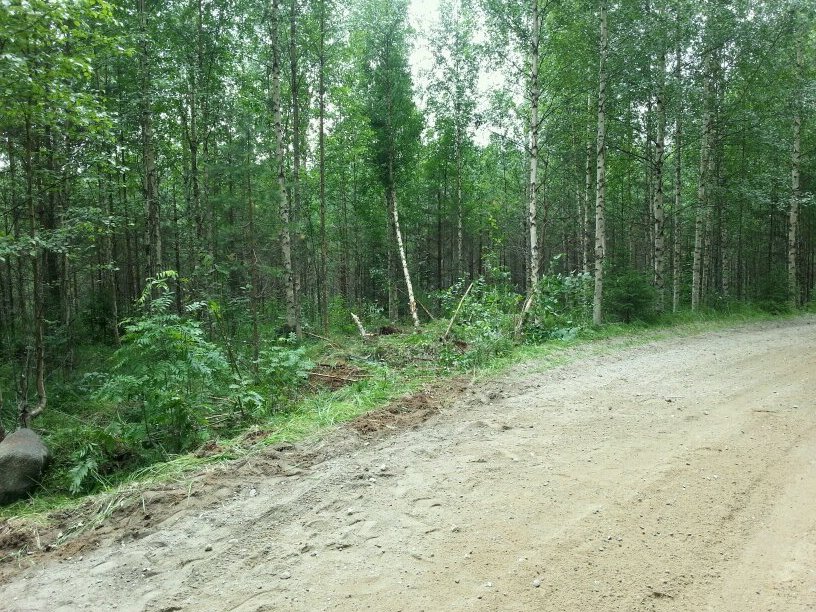 Twiits around freetime activities, mostly about rally. Proud member of #Rallirinki.