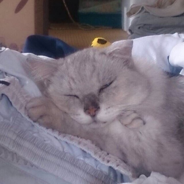 氷のベッドでおねんねしな