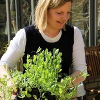EastonWalledGardens (@ewgardens) 's Twitter Profile Photo