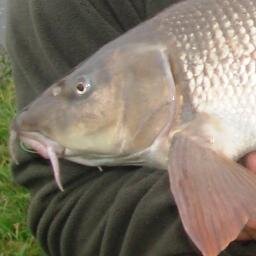 Specialist site for all Barbel Anglers
#barbelfishing