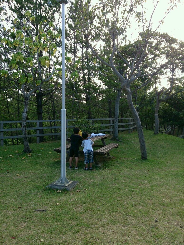 宜しくお願いします