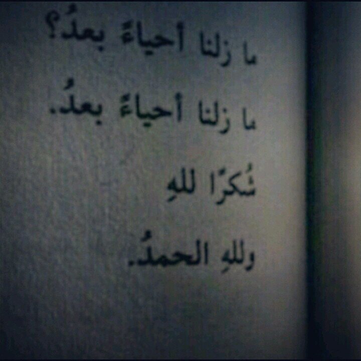 ‏‏‏‏أكتُب ألغَزلُ أنـا ، ويَكتُب قلبِي ألحُزن . وم،ـآ بيّني
 وبيّن قلبِي ..حگاية بـوح ‏(بوح حرفي في المفضله)