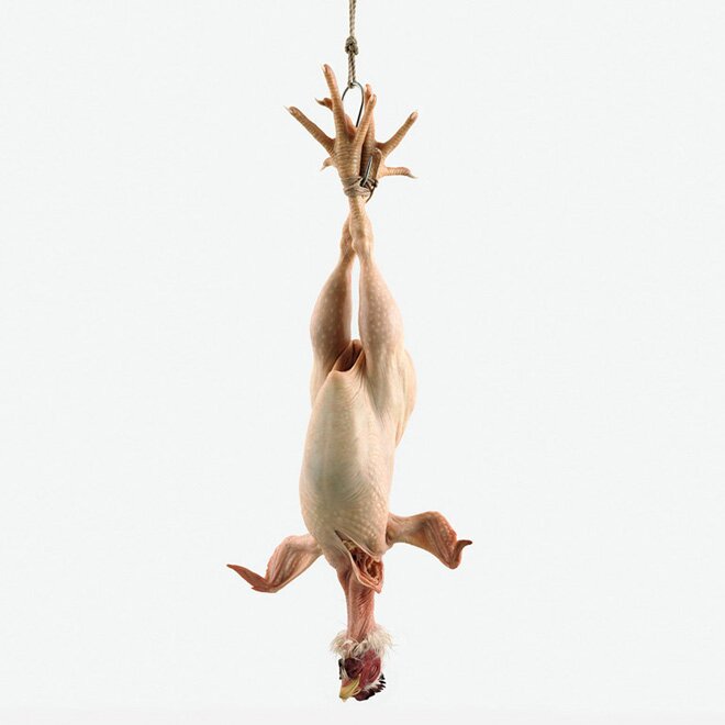 CrilLamb's profile picture. 