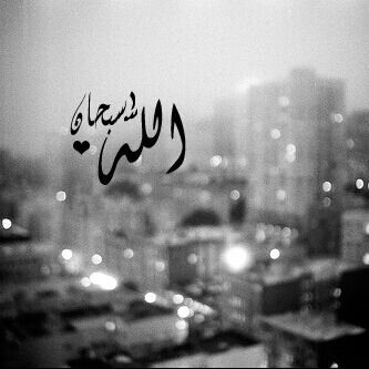 طالب جامعي _ إشجعع الهلال سوو فولوا الرياضض *