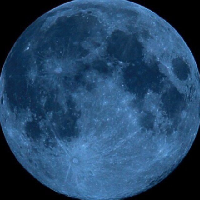 drmn12931's profile picture. 30代、独身、サラリーマン。FX初心者。動物好き。特にフサフサしたやつ。