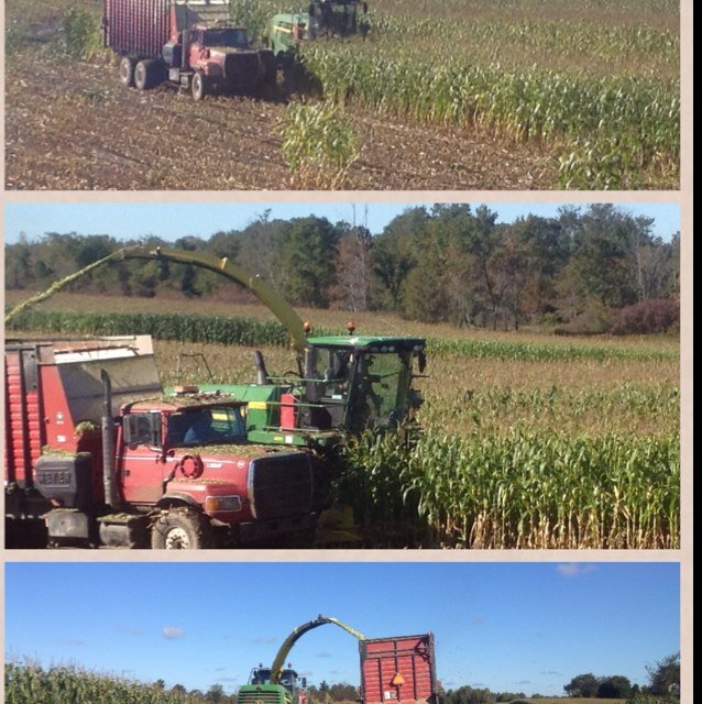 Klein's Agri Services Custom harvesting and manure spreading, and dang good at what we do.