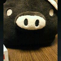 ☆Boo☆@＝LGP＝黒猫ガチ勢の人 (@booevo8) Twitter profile photo