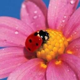 You feel sad? Smile anyway, it will bring you joy! Are you happy? Keep smiling, it will bring you luck!