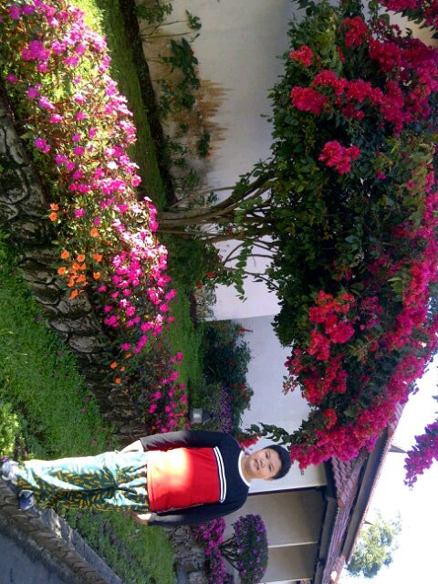 marcel_lino1999's profile picture. My happy day at 31 des