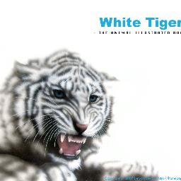 m_scode's profile picture. バイクとTMNが好きっす！