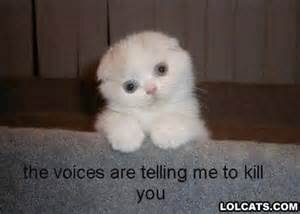 hi my names kerryann and i love animals and i am MENTAL.