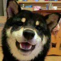みふじ (@mi_fuji) Twitter profile photo