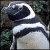 http://t.co/HIS1PHZZXn - Парфюм, косметика, часы, кальяны по самым низким ценам в г. Самара. т.896138447,89277061081 icq - 1524-3333