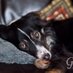 Biscuit’s Mum 💔💔💔🌈 Jess’ Mum ❤️❤️❤️🤪 (@lilpeewee) Twitter profile photo Biscuit’s Mum 💔💔💔🌈 Jess’ Mum ❤️❤️❤️🤪 (@lilpeewee) Twitter profile photo