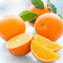 -Venta de Naranjas y Mandarinas Valencianas-                   https://t.co/5YQF0pElTN